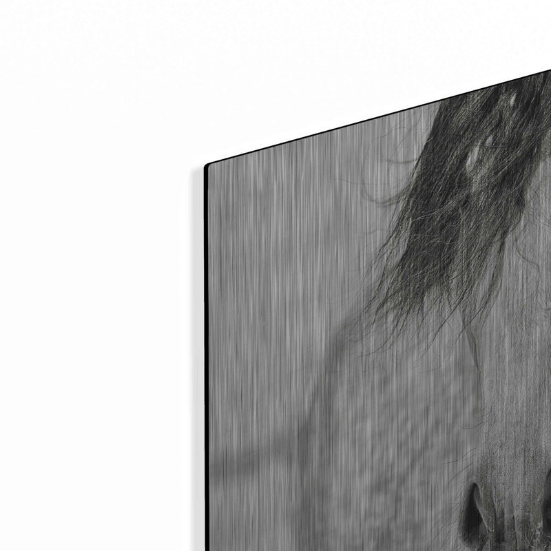 «My Beautiful Mane» par Lisa Dearing, H 16 po x l 24 po