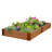 Raised Garden Bed