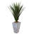 60'' Faux Agave Succulent in Stone Planter