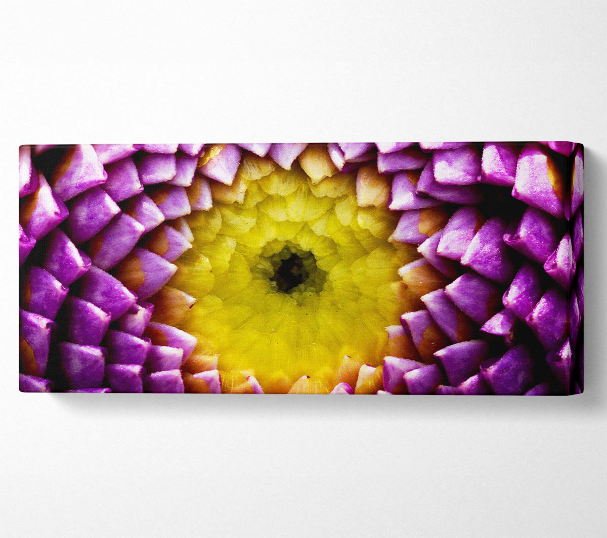 Ebern Designs Purple Petal Delight - Wrapped Canvas Art Prints ...
