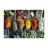Colorful Spices - Wrapped Canvas Print