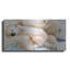"Sleepy Polar" par Murray Henderson Fine Art-974619926