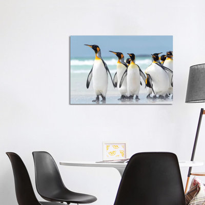 King Penguin, Falkland Islands. by Martin Zwick - Wrapped Canvas Print