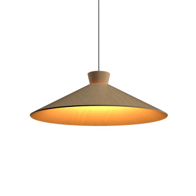 Luminaire conique conique à 1 lumière