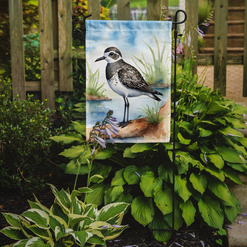 Drapeau de jardin Surfbird Bird, Pluvier à ventre noir
