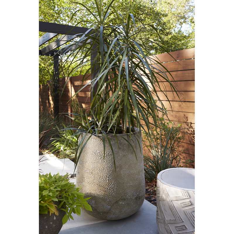 Deboral Handmade Ceramic Pot Planter