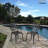 Metal Outdoor Dining Armchair