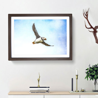 Flying Atlantic Puffin Bird - Picture Frame Graphic Art Print