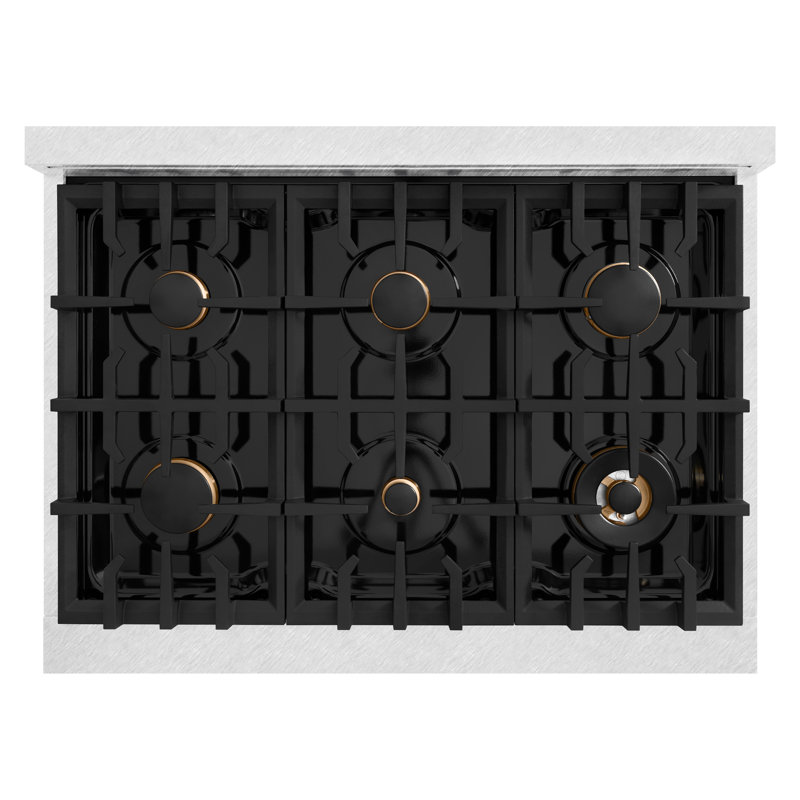 ZLINE Autograph 36" Classic Dual Fuel DuraSnow Range w/ Accents, Black/Gold