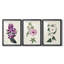 Garden Gems IV - encadré sur mesure de qualité supérieure avec mat - 3 pièces-2051238509-2051238507