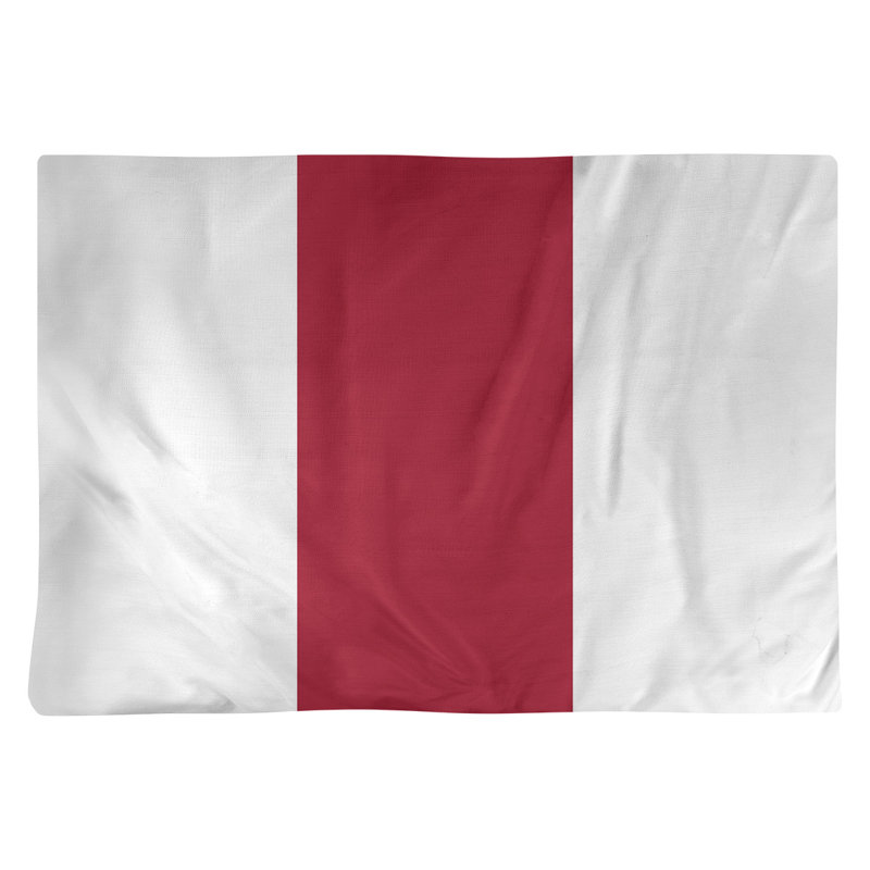 Récapitulatif 18" à rayures de football Houston, Blanc / Marron