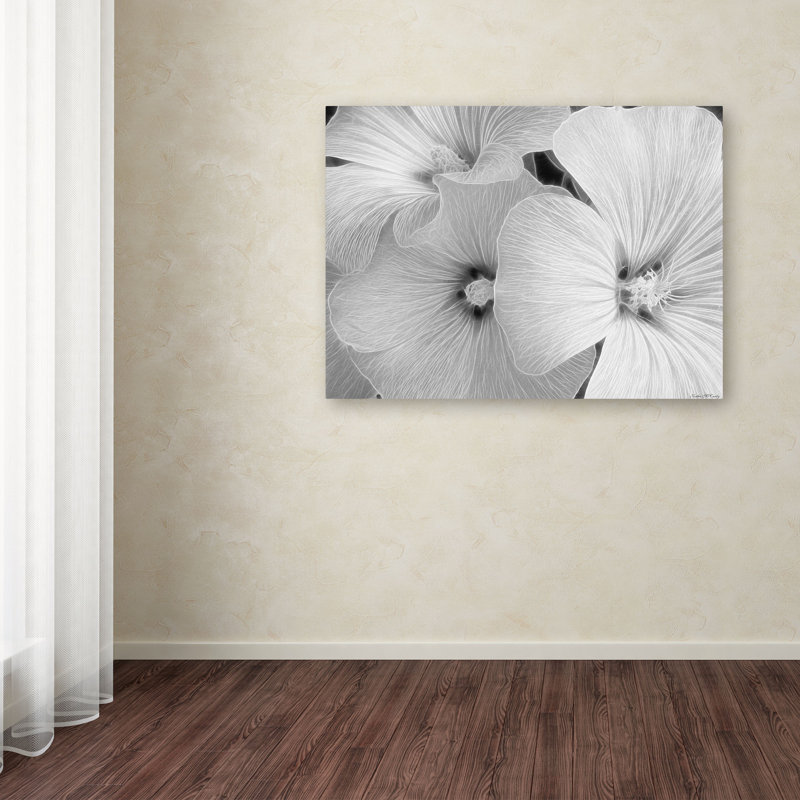 « transparent malva », reproduction de photo sur toile tendue, H 14 po x l 19 po x P 2 po