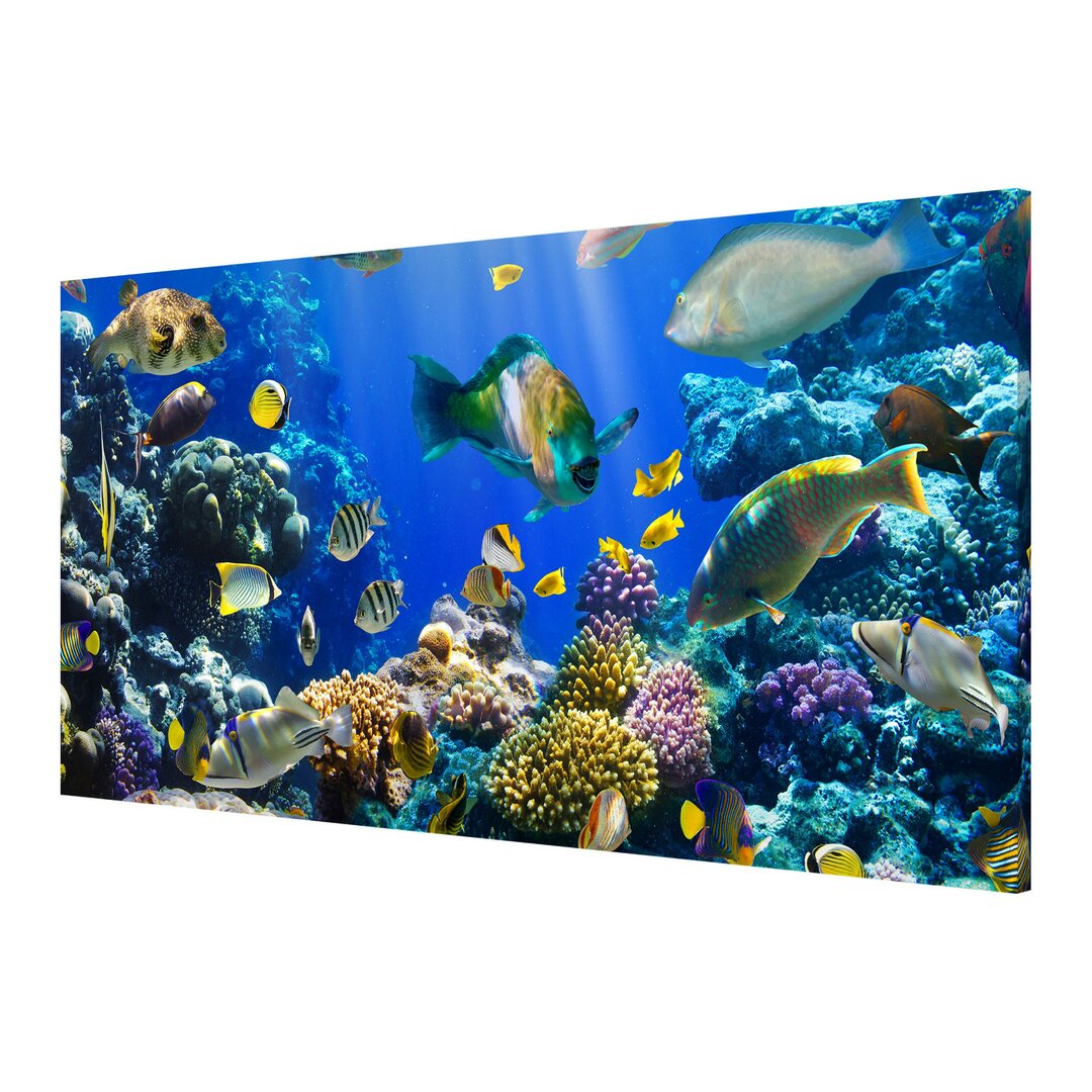 Magnettafel Underwater Reef