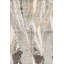One-of-a-Kind 6'1" X 8'11" Area Rug