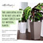 Cubico Planter-16493080-16493085