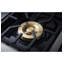 Monogram 36" Dual-Fuel Professional Range With 4 Burners And Griddle