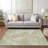 Lamanna Washable Floral Indoor / Outdoor Rug-96103848
