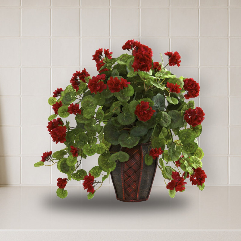 Geranium with Decorative Planter