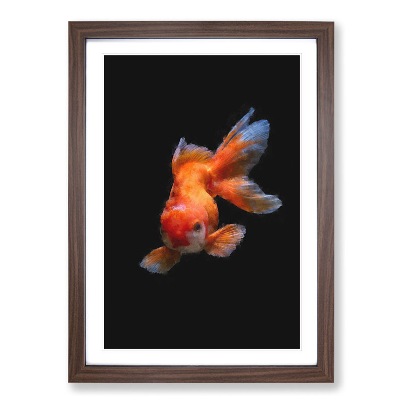 Chinese Golden Fish - Picture Frame Graphic Art, 36cm H x 27cm W x 2cm D, Walnut Framed