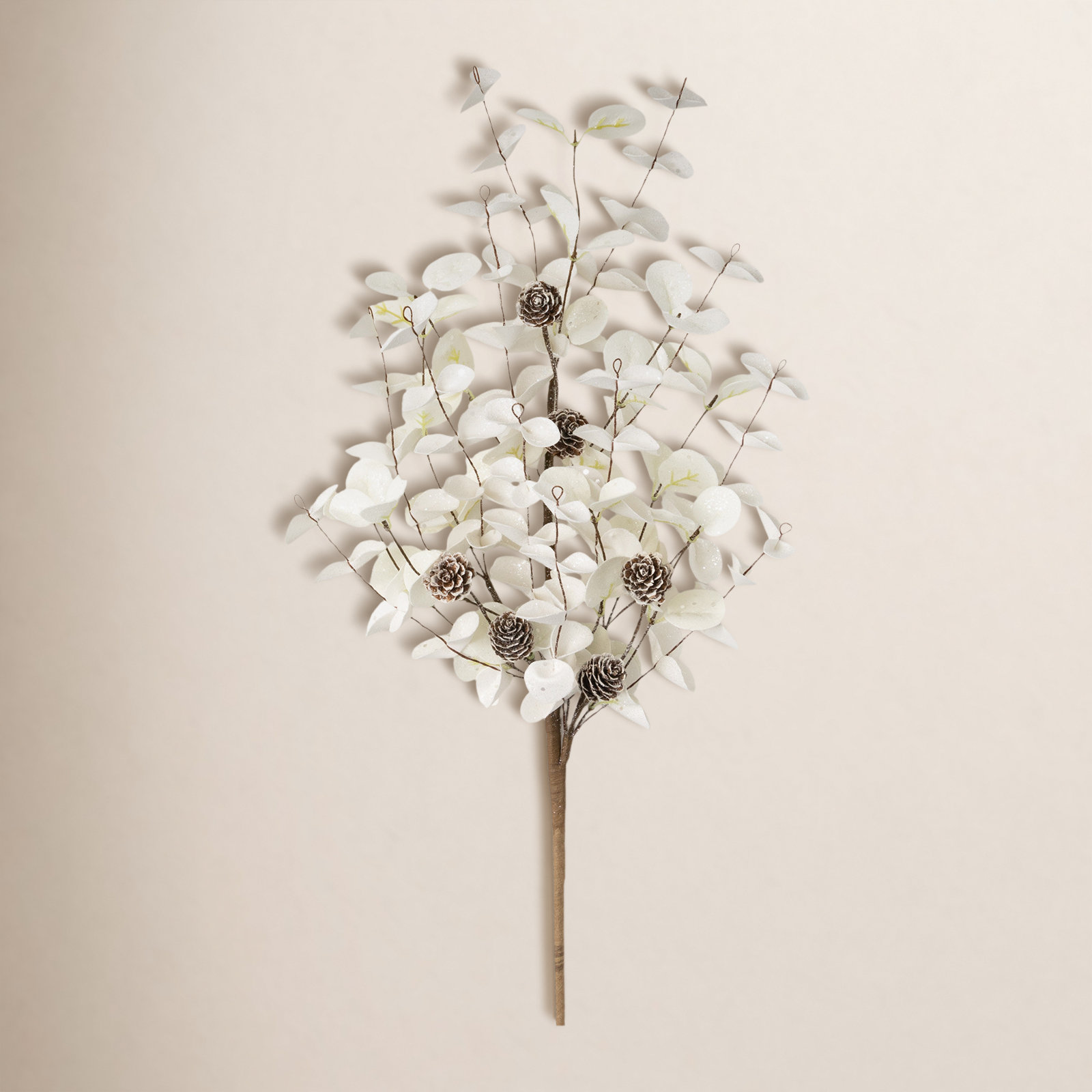 Eucalyptus Stems