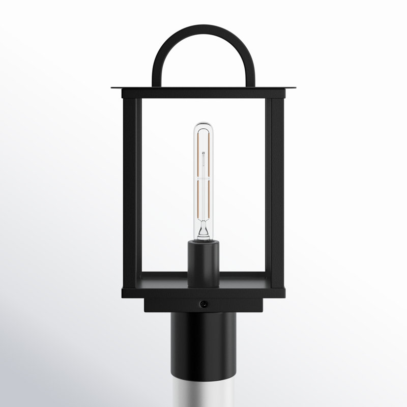 Jumelle Transparent Lantern Head