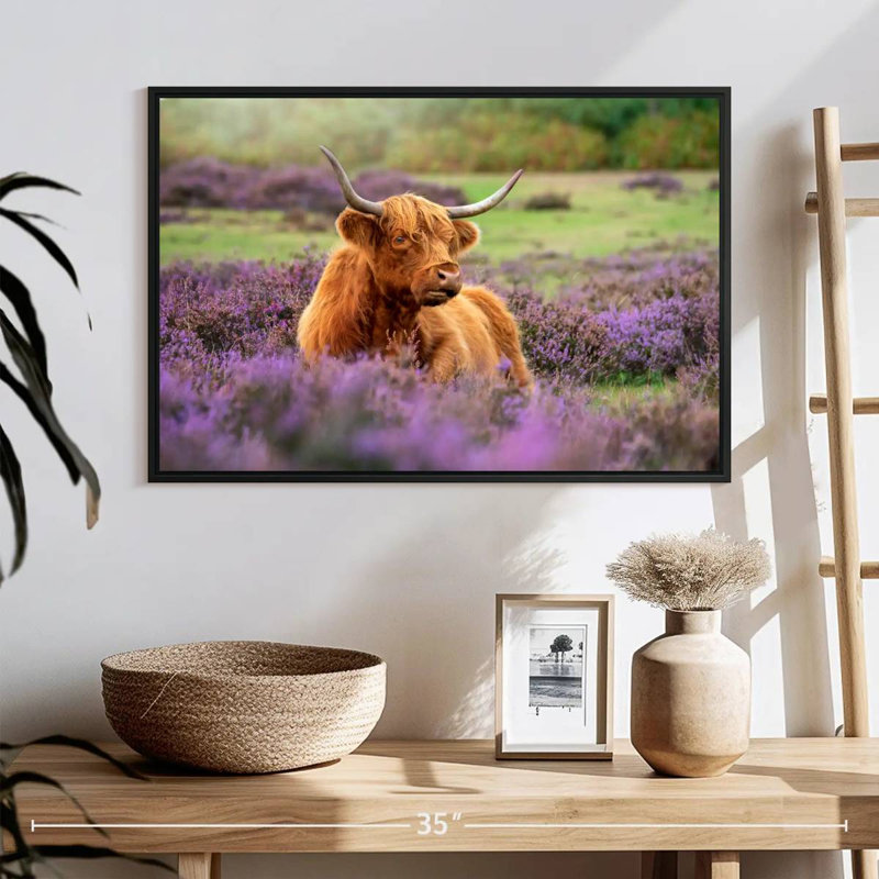 Brampt Highland Cow Paradise, H 17 po x l 25 po