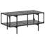 Crytal Coffee Table with Storage-1530319368