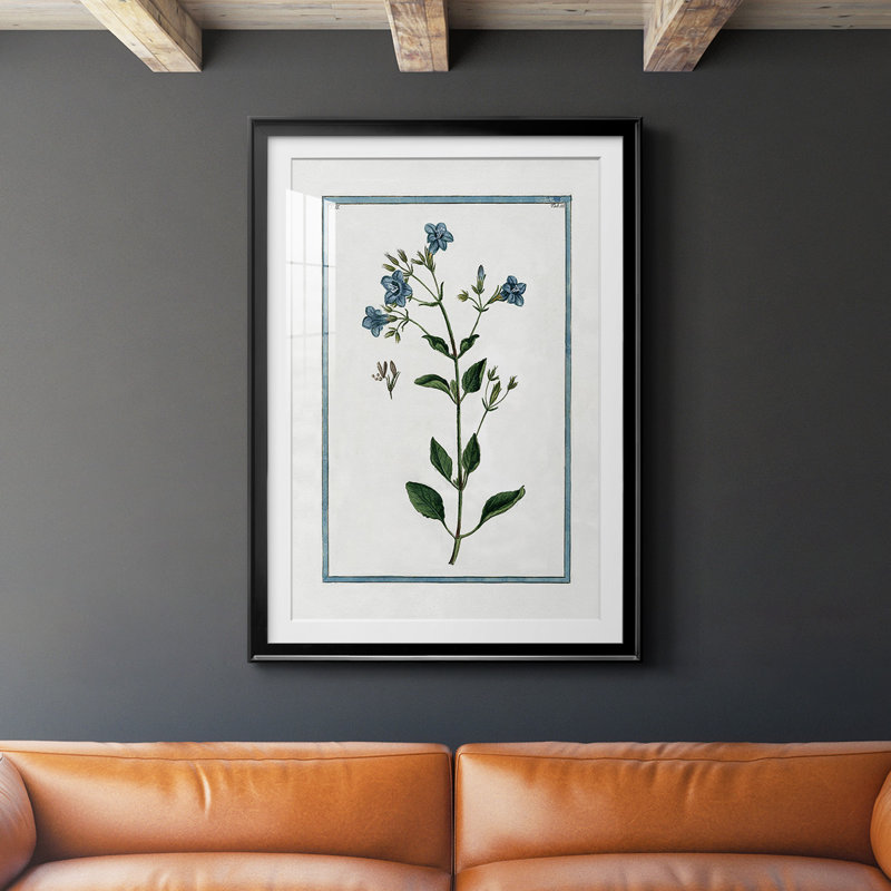 Shabby Elegance Botanical II, reproduction encadrée de qualité supérieure - prête à être accrochée, L 22,5 po x H 30,5 po