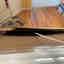 Photos des clients 2 de 2