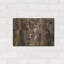 «The Guardian» par Collin Bogle-398211151