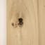Makena Barn Door-1059660009-1059660001