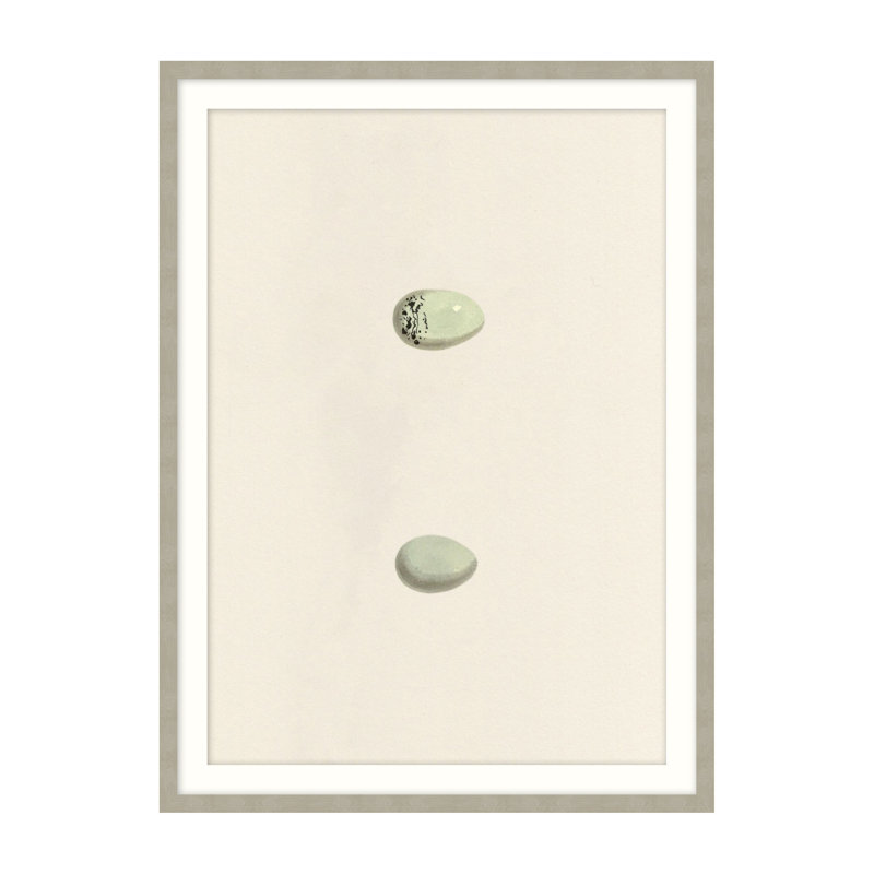 Unhatched 2 Illustration by Studio L57 Nouvelle, 20" H x 16" W