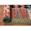 Tapis style sud-ouest kilim 8 x 10