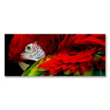 Parrot Pose Print