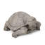 Statue tortue d'extérieur, gris foncé, sans assemblage requis