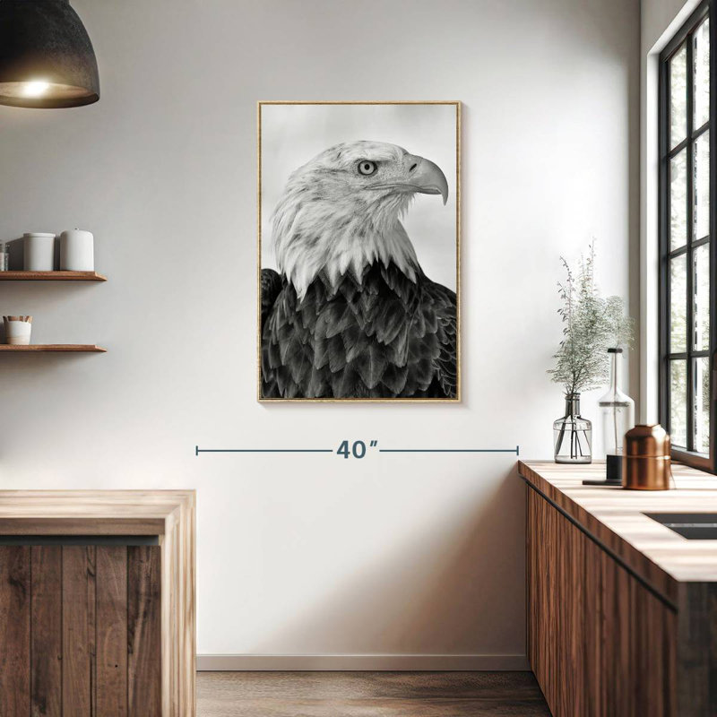 Aigle féroce, Floating Frame Natural Wood, 25" x 37"