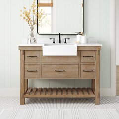 Free Shipping on 48 Black Freestanding Single Farmhouse Sink Bathroom  Vanity with Ceramic Top｜Homary CA