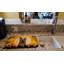 Tapis de séchage berger allemand halloween