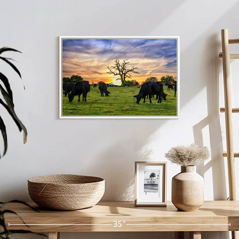 Pâturages Aberdeen Angus, 19 po x 13 po, Cadre flottant blanc