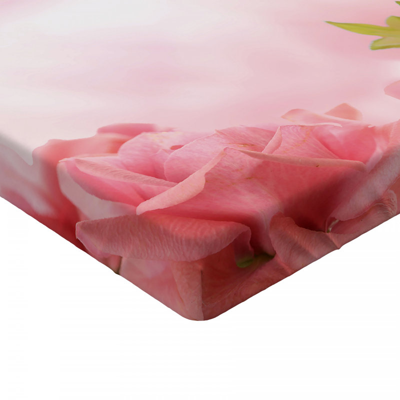 Microfiber Fitted Sheet, Twin XL Fitted Sheet