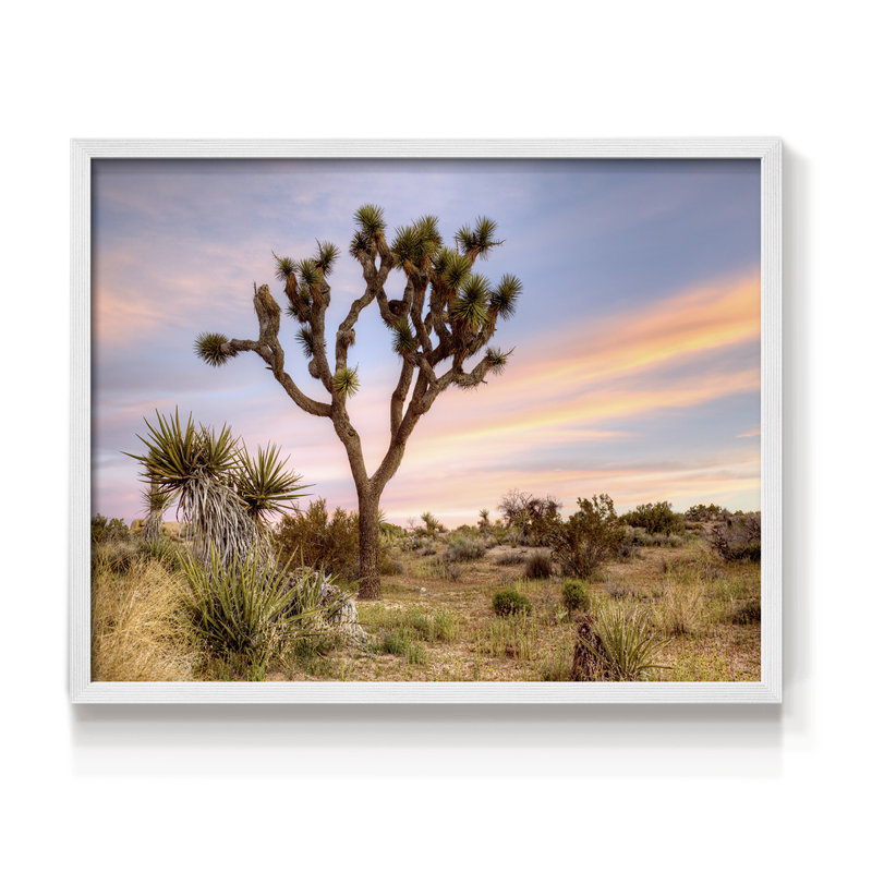 Joshua Tree Sunrise -Framed Print - Restickable