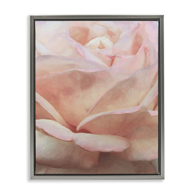 «Soft Soft Rose Petals» par Alonzo Saunders, H 31 po x l 25 po, Cadre flottant gris lustré