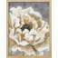 «Vibrant Yellow Garden Carnation Flower Wall Art Floral Botanical Prints Decor», œuvre d'art encadrée sur papier-93487608-93487609