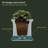 Selevae Resin Planter Box with Water Reservoir-1028672285-1028672225