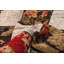 Alixzander Wool Patchwork Indoor Rug