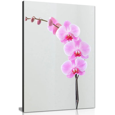 Orchid Flowers - Wrapped Canvas Print