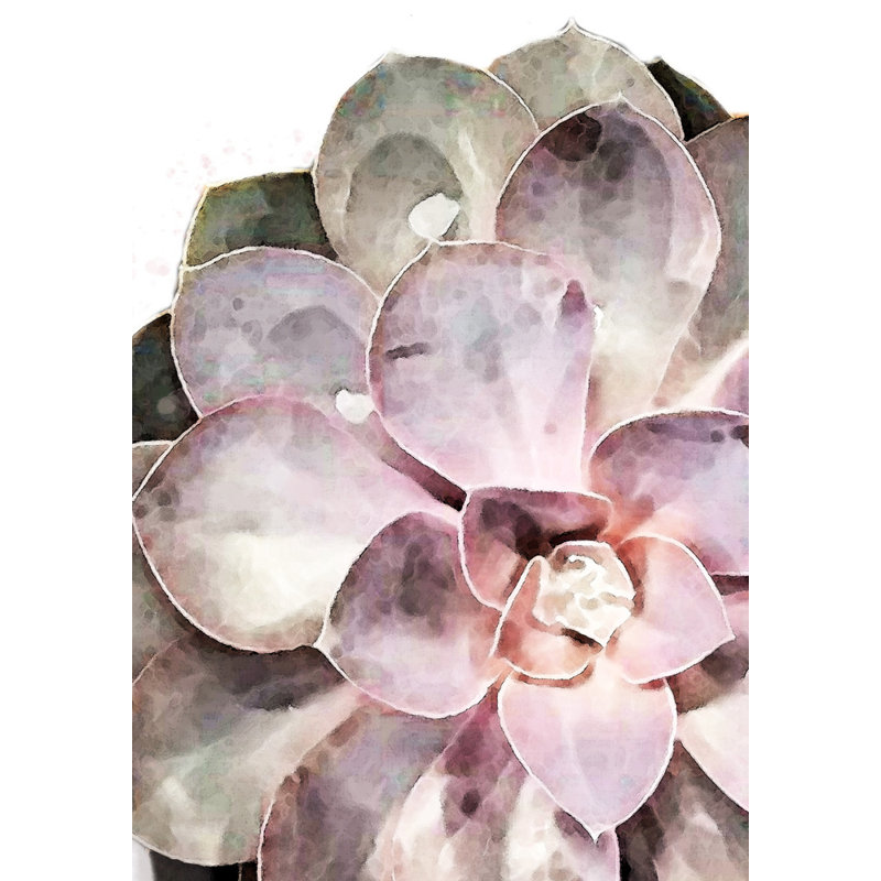 «Succulent Gros plan», art mural texturé encadré, H 14 po x l 10 po, Noir