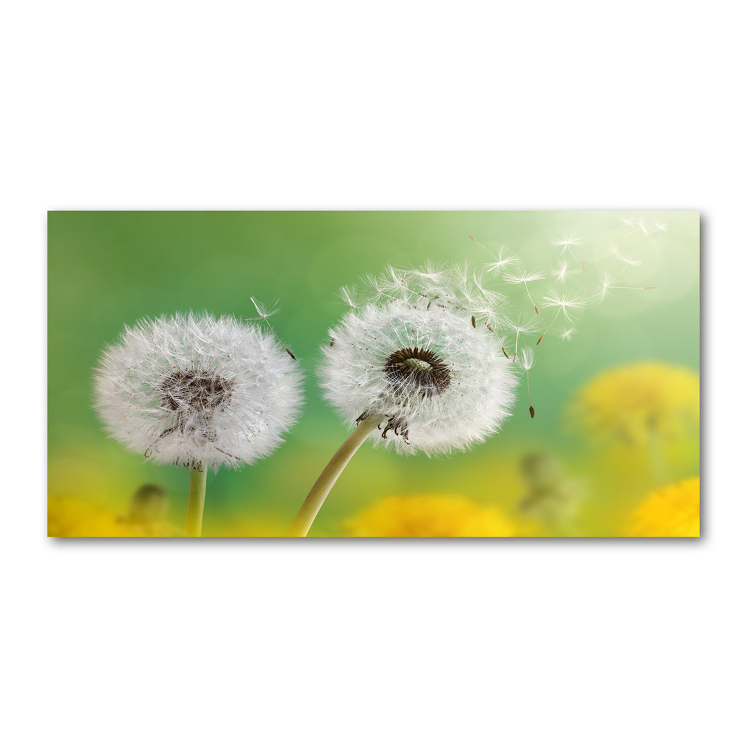 Glasbild Dandelions