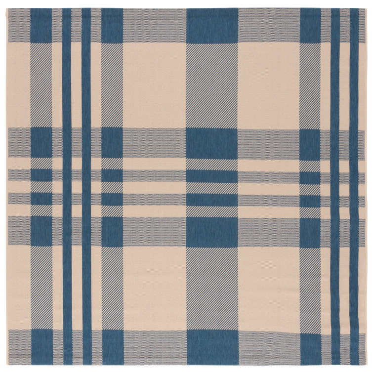 Debriana Performance Plaid Indoor/Outdoor Area Rug