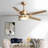 Bronius 52'' Ceiling Fan with LED Lights